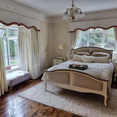 Rooms At Ballysax House The Curragh Eksteriør bilde