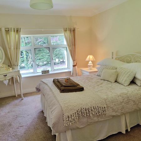Rooms At Ballysax House The Curragh Eksteriør bilde